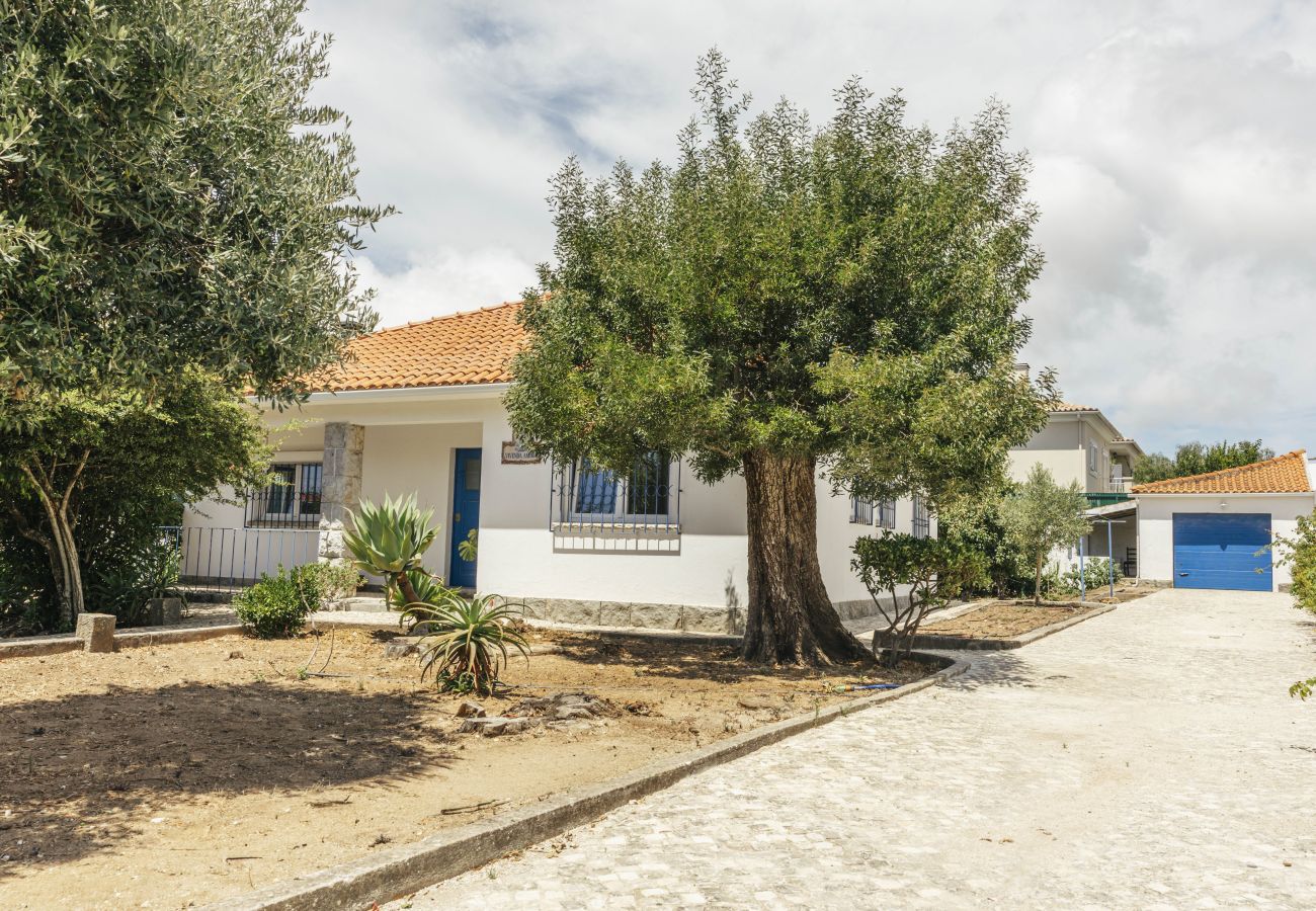 House in Cascais - Cascais Boutique Retreat by Clama Retreats